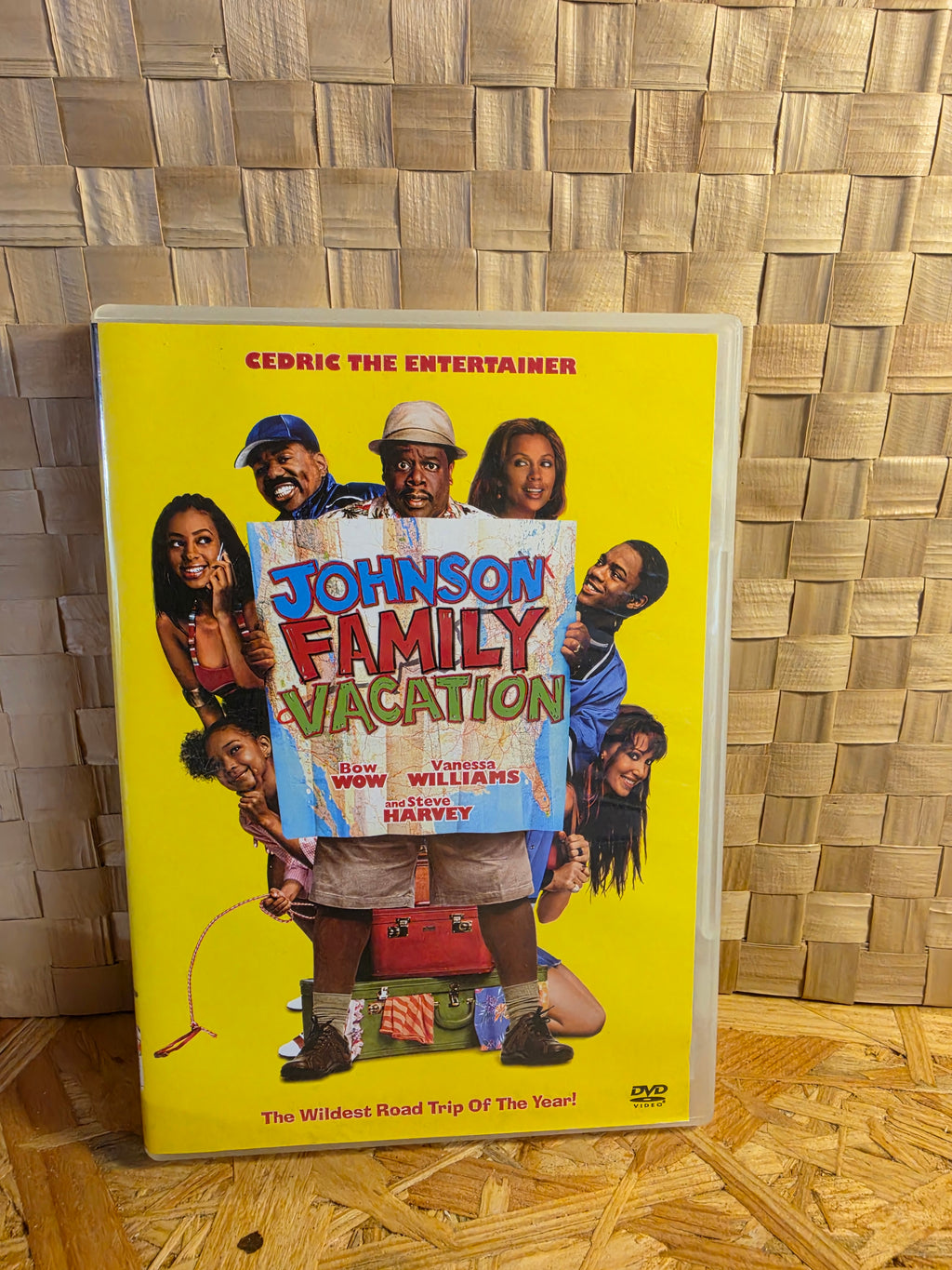 Johnson family vacation
